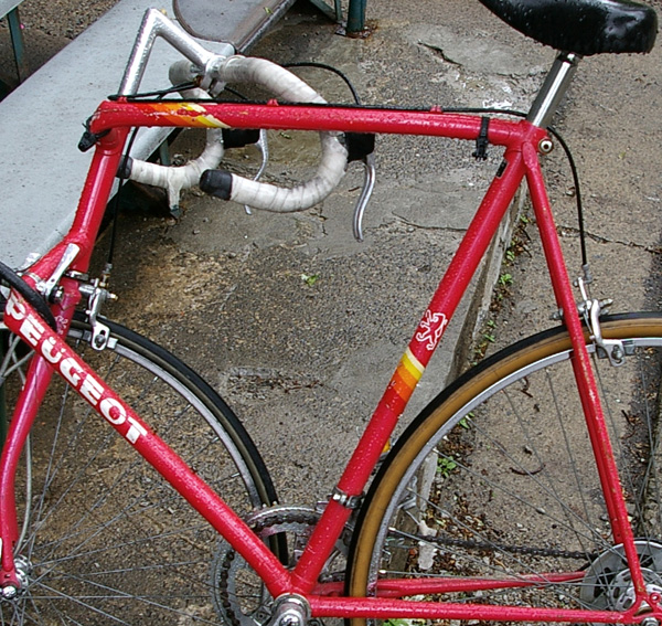 Bike 7